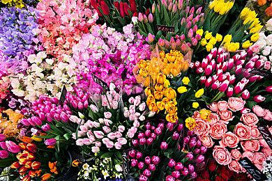 《艾尔登法环》1.13版更新介绍 多项能力调整