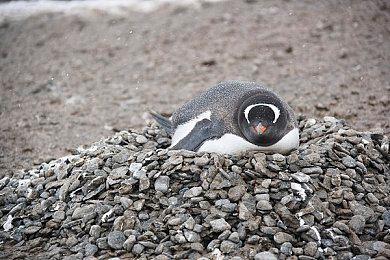 米哈游新作《绝区零》首测定档 8月5日正式开启